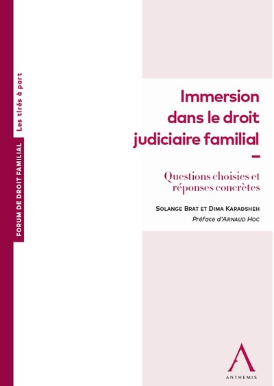 Immersion dans le droit judiciaire familial