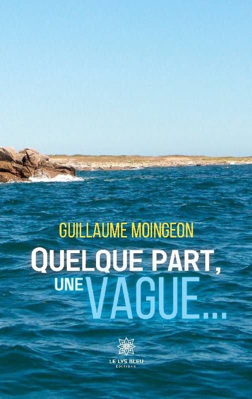 Quelque part,une vague...