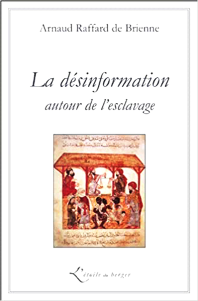 La désinformation autour de l’esclavage - Arnaud Raffard de Brienne