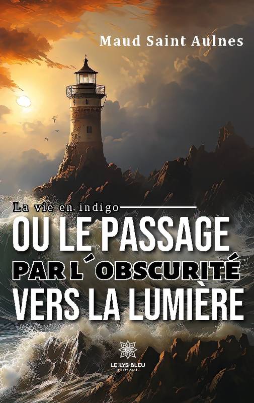 La vie en indigo  ou le passage par l’obscurité  vers la lumière