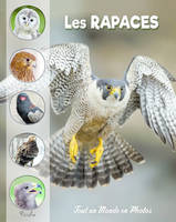 Les rapaces