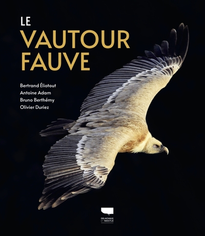 Le Vautour fauve - Bertrand Eliotout