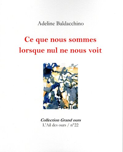 22 - Ce que nous sommes lorsque nul ne nous voit - Adeline Baldacchino