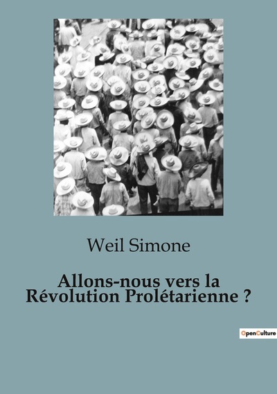 Allons-Nous Vers La Révolution Prolétarienne ?