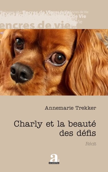 Charly et la beauté des défis