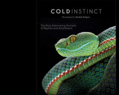 Matthijs Kuijpers Cold Instinct /anglais