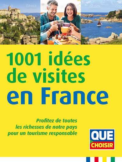 1001 idées de visites en France - Collectif