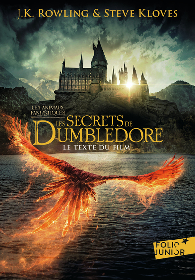 3 - Les secrets de Dumbledore