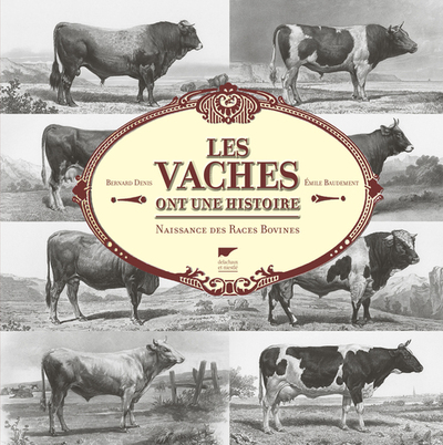 Les vaches ont une histoire - Bernard Denis