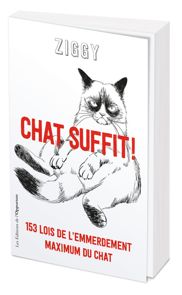 Chat suffit !