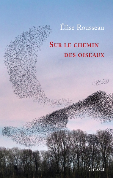 Sur Le Chemin Des Oiseaux, Récit - Élise Rousseau