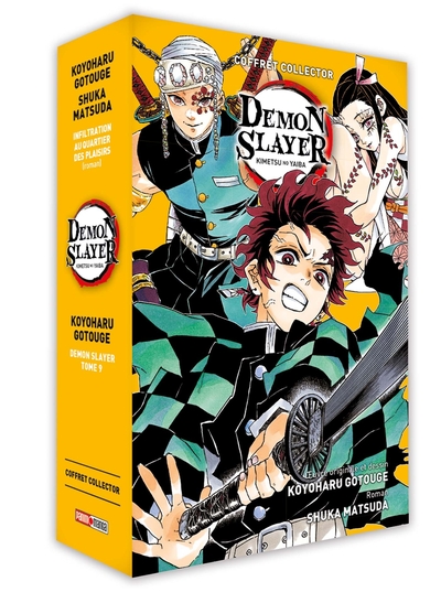 Demon Slayer Volume 09