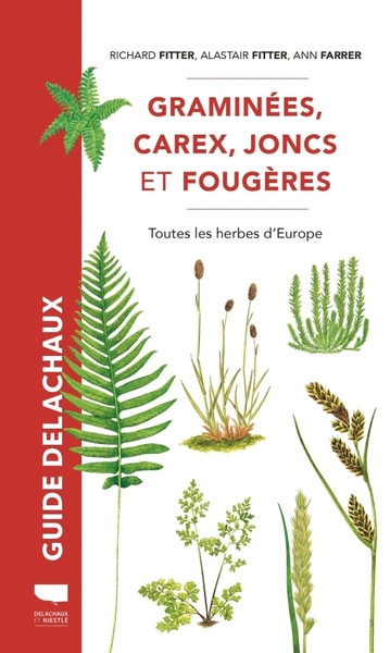 Graminées, carex, joncs et fougères