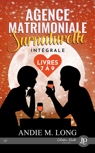 3 - Agence matrimoniale surnaturelle -tome 7 à 9 - ANDI M. LONG