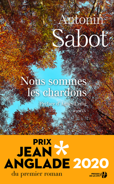 Nous sommes les chardons - Antonin Sabot