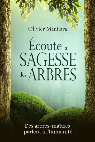 Ecoute la sagesse des arbres