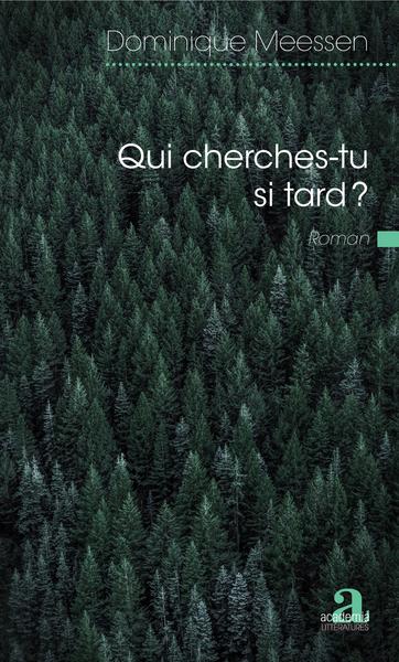 Qui cherches-tu si tard ?