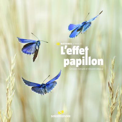 L'effet papillon