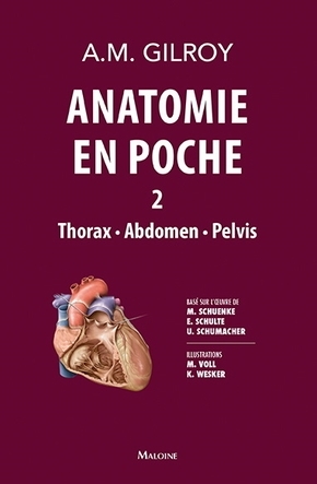 Anatomie en poche Volume 2