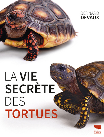 La vie secrète des tortues