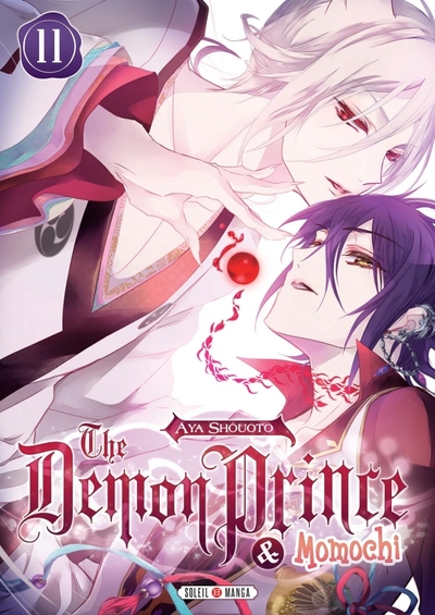 The demon prince & Momochi Volume 11