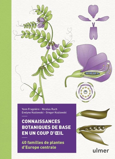 Connaissances botaniques de base en un coup d'oeil - Evelyne Kozlowski