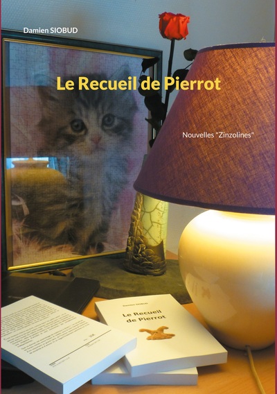 Le Recueil de Pierrot - Neimad Siobud