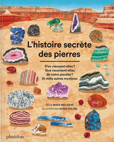 L'histoire secrète des pierres : d'où viennent-elles ? Que racontent-elles de notre planète ? Et mil