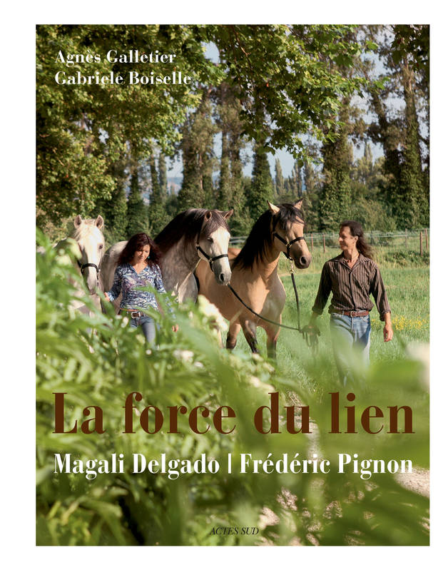 La force du lien