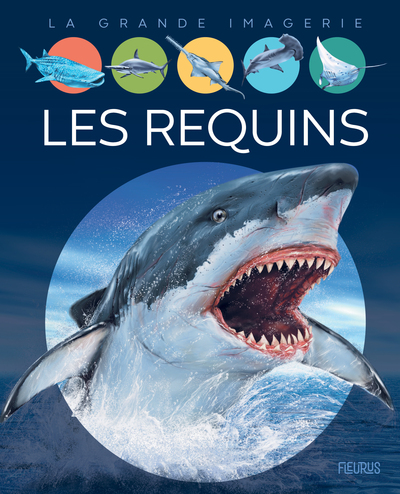 Les Requins