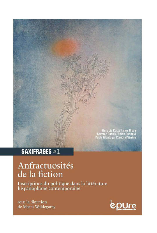 Anfractuosités de la fiction