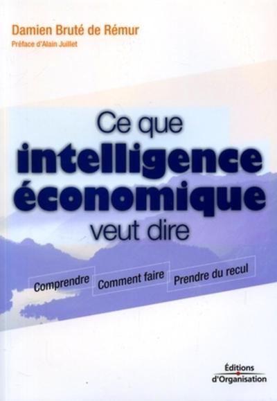 Ce Que Intelligence Économique Veut Dire, Comprendre - Comment Faire - Prendre Du Recul