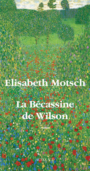 La bécassine de Wilson