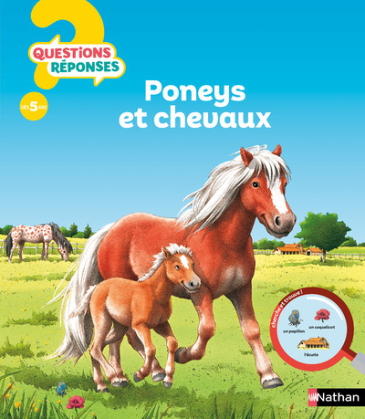 Poneys Et Chevaux