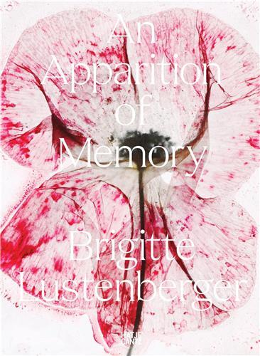 Brigitte Lustenberger. An Apparition of Memory /anglais