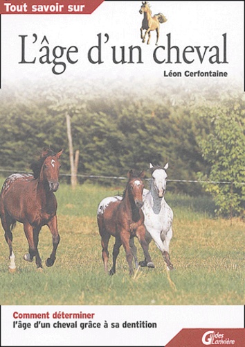 Tout Savoir Sur  L Age D Un Cheval