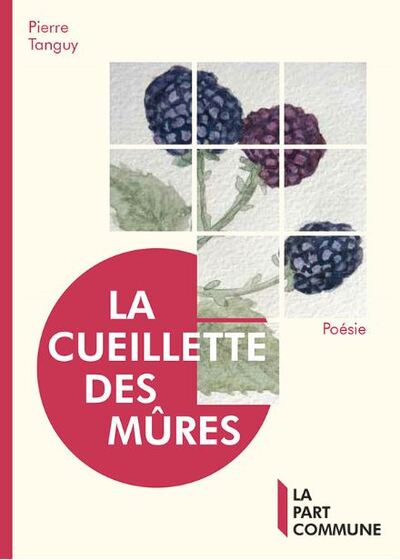 La cueillette des mûres