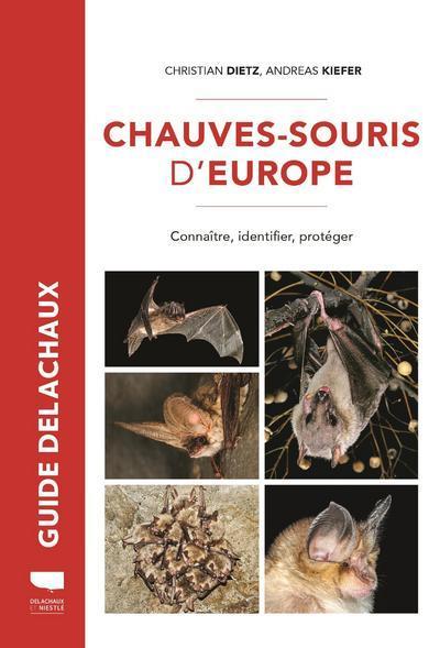 Chauves-souris d'Europe - Andreas Kiefer