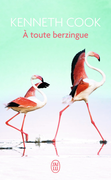 À Toute Berzingue, Roman