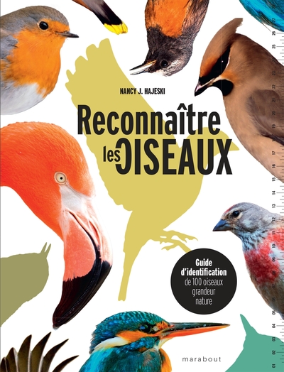 Reconnaître les oiseaux - Nancy J. Hajeski