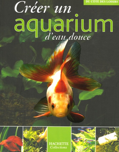 Creer Un Aquarium D'Eau Douce