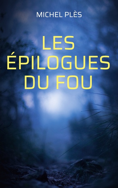 Les Épilogues Du Fou